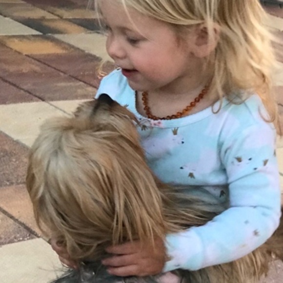 My family....and my precious dog Bella! - Picture 2 of 7